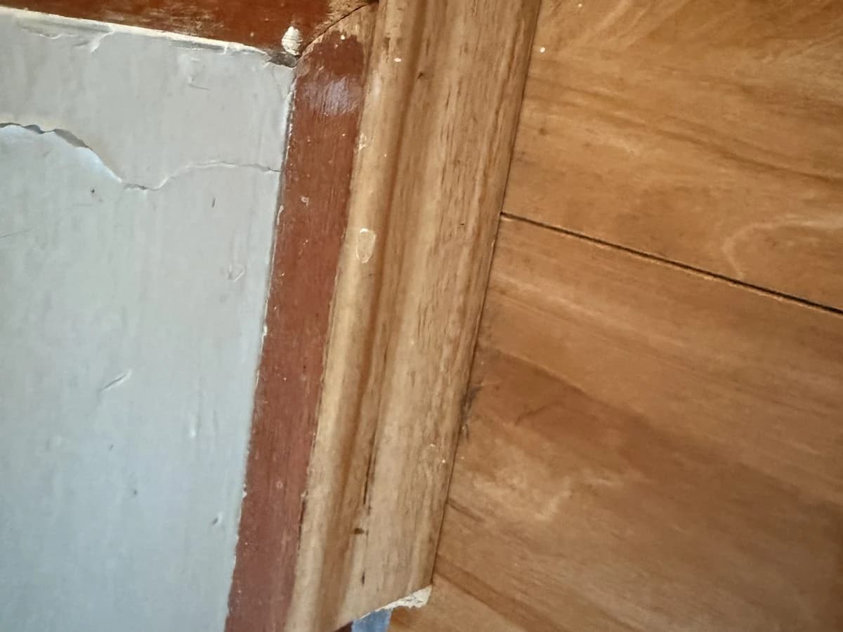 Timber door frame repair