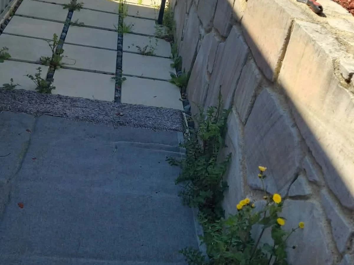 Garden path beside a retaining wall