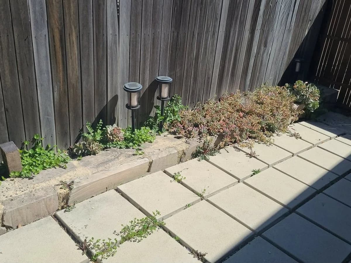 Side garden with pavers and timber fence