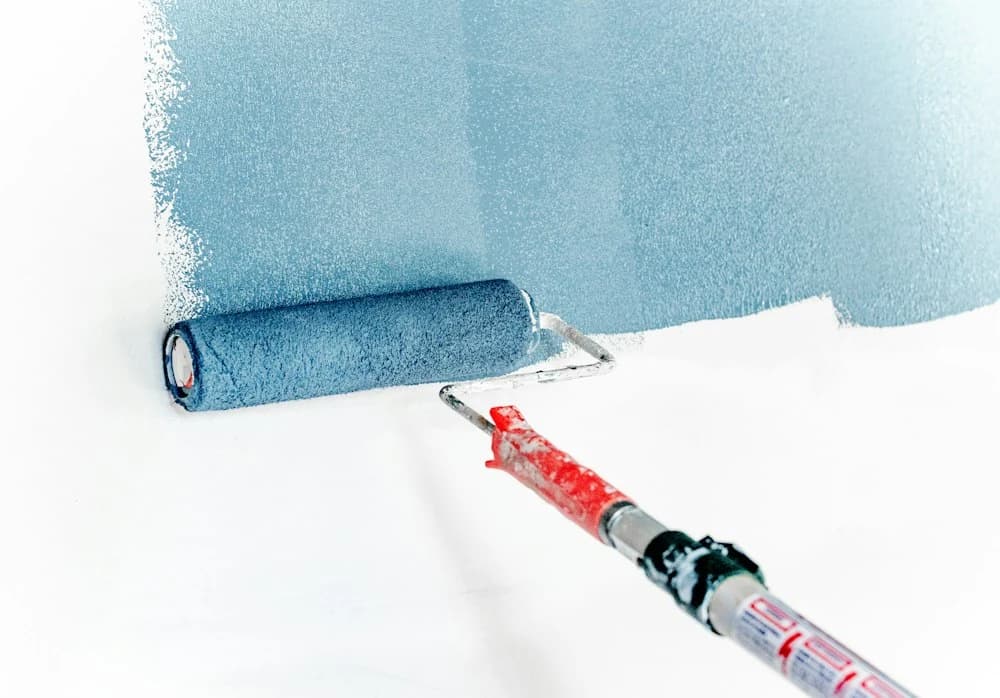 Painting in Canberra and Queanbeyan